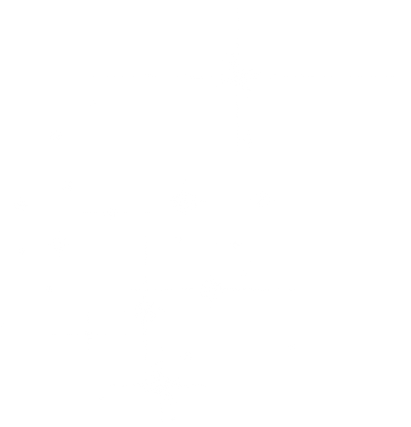 Sparkling and Shining Stars